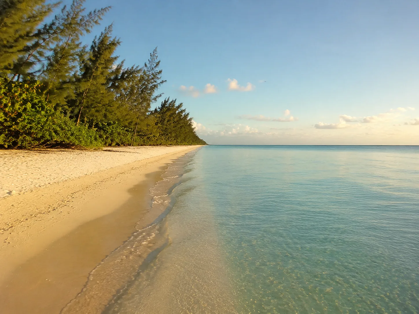 Une longue plage de sable fin bordée de filaos, avec une eau turquoise pâle et peu profonde s’étendant à l’horizon sous un ciel clair.